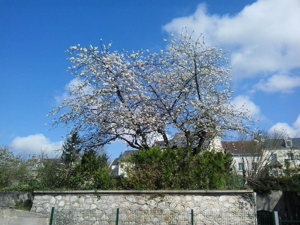 Les Du Faubourg Frühstückspension Montrichard